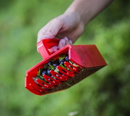 Bærplukker, mindre modell / barnemodell, plast