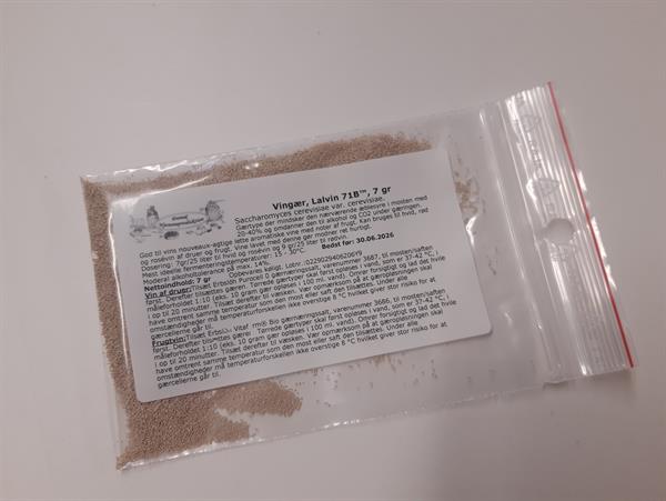Vingær, Lalvin 71B, 7 gr
