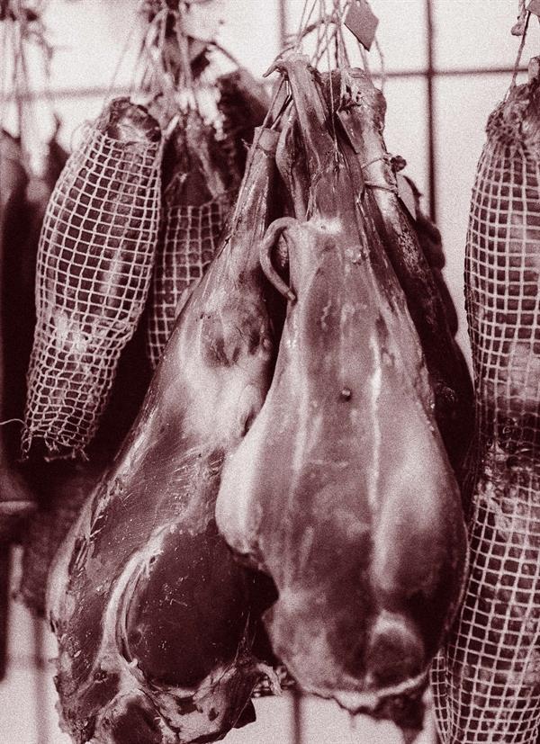 Nordisk charcuteri (dansk bok) – håndverk, teknikker og oppskrifter (Jens Breinholt Schou)