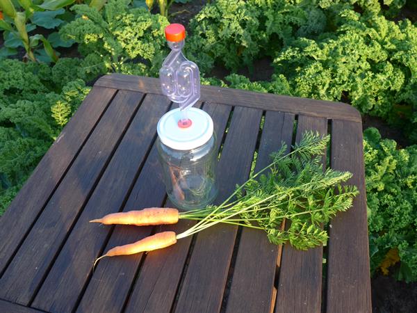 Fermenteringsglass, 1 liter. Komplett med skrulokk med gjennomføring og gjærlås.
