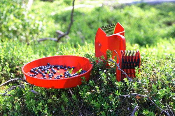 Berry picker, plastic, adult model